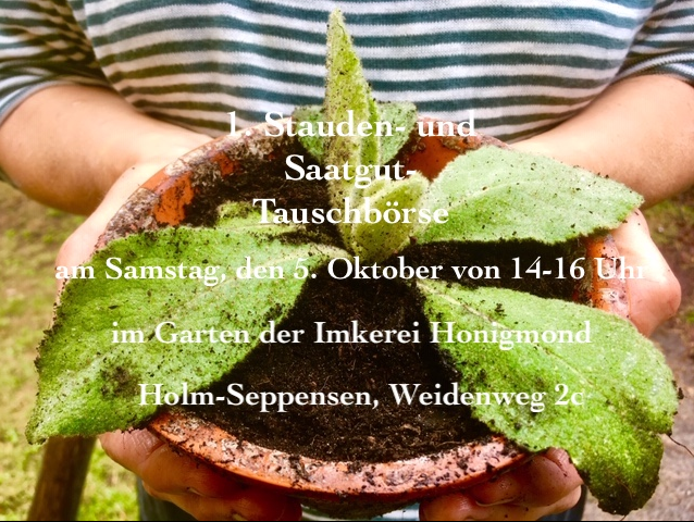 Bildschirmfoto 2019-09-26 um 13.14.03